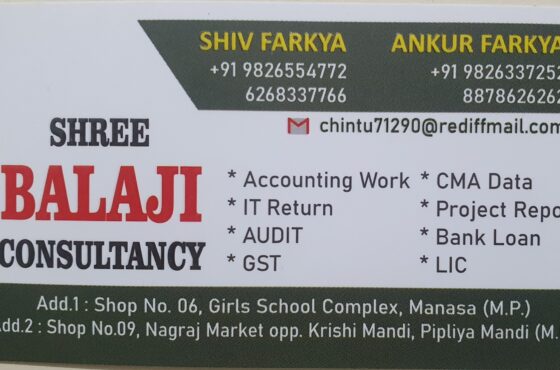 Shri Balaji Consultancy
